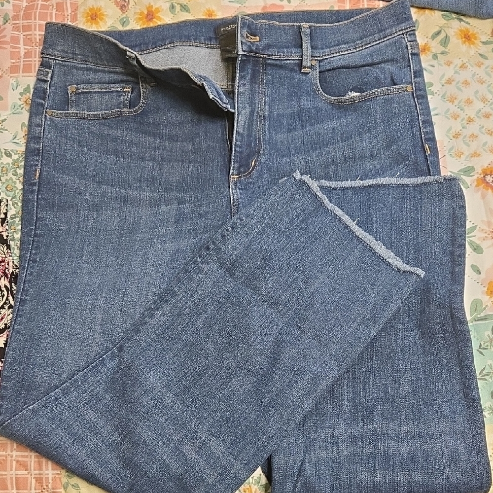 Ann Taylor Factory Denim Cropped Jeans